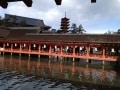日本三景の一つ厳島神社