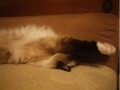 のび～