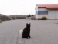 とある堤防にて