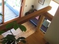 わが家のロフトに観葉植物がある理由