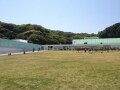 開放感が魅力的！思いきり走り回れる「横須賀美術館」