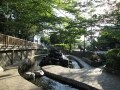 親水公園がたくさんある江戸川区で水遊びを楽しもう