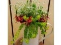 ナチュラルガーデニングに「寄せ植え」はいかがですか