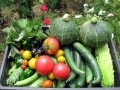 野菜と果物の「色」にはいろいろな意味がある