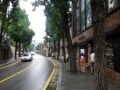 韓国の流行はココから始まる！「街路樹通り」