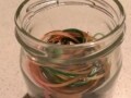 輪ゴムは空き瓶に収納して引き出しへ