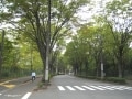 朝霞、都心から20キロ、武蔵野の面影の残る住宅街