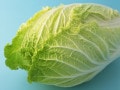 大根・白菜の保存方法と人気のおすすめレシピ