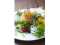 野菜の魅力を発信する京都八百一セイボリー
