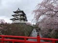 城跡を美しく染め上げる桜を満喫！ 春の弘前城／青森