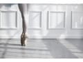 大人バレエの技術解説「プリエ」……バレエにおける重要な動き！