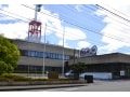 日テレ製NHKドラマってアリ？『プラトニック』