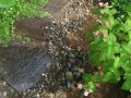 梅雨になるとカビが……