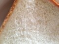 アンチヘルシーの誤解?  白パンで乳酸菌増加