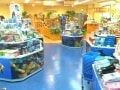 沖縄美ら海水族館のアンテナショップ「うみちゅらら」