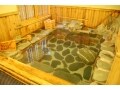 1日4組限定！日本一の強アルカリ性温泉「旅館とき川」