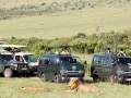 ケニアで野生動物を見るために守るべき国立公園ルール