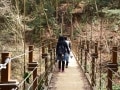 吊り橋もある！ 高尾山で楽しめる本格派ハイキング