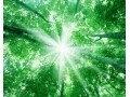 夏休みの事故には注意！お金持ちのリスク回避習慣って