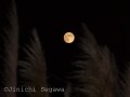 中秋の名月を楽しく撮る3つの方法