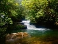 西表島で秘境体験を！ カヌー＆滝つぼツアーレポート