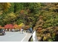 埼玉一美しい紅葉！秩父・中津峡で秋の絶景＆味覚巡り