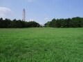 公園のそばの物件はどうなの？