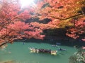 京都の美しい紅葉スポット！ トロッコ列車と川下りで2倍楽しむ「保津川」の紅葉