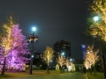 横浜の街がキラキラ！クリスマスイルミネーション2015