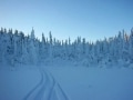 フィンランドの冬旅　おすすめオプショナルツアー