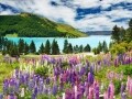 大自然に包まれる　ニュージーランド感動体験ツアー