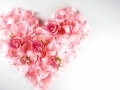 スペインのバレンタイン事情とは……365日が恋人たちの日!?
