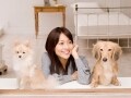 ペットが苦手なら一戸建て住宅を選ぶべき!?