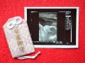 妊娠週数カレンダーで胎児の成長・大きさをチェック！
