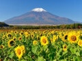 山の日とは？ なぜ8月11日が祝日になった？ 由来・意味を解説