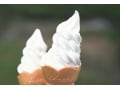 札幌にきたら絶対食べたい極上ソフトクリーム 5 選