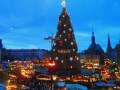ドイツ最大のツリー！ドルトムントのクリスマスマーケット