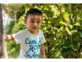 自然体験が子供に与える効果とは？自然を楽しむ10の工夫