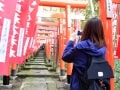 鎌倉の大仏ハイキングコースで縁結び、金運、仕事運UP！