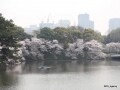 千代田区「六番町」の地価が日本一高い理由