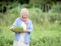 「無添加なら安全」はウソ？添加物のメリットと考え方