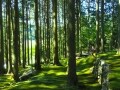 愛媛・南予の美景をめぐる旅　話題の絶景駅も