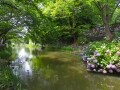 涼を感じる水風景 琵琶湖周辺の観光スポットめぐり