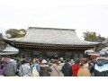 埼玉・大宮氷川神社 初詣で大人気のパワースポット