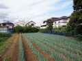 田園住居地域ってなに？ 25年ぶりに用途地域を追加