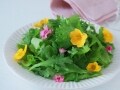 料理がもっとおいしく！写真映えする盛り付けのコツ3