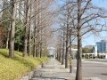 寒い時期の運動リスクとウォームアップのコツ