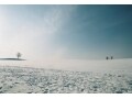 記憶に残る雪景色！美瑛・美馬牛の冬旅観光スポット