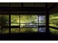話題の絶景！京都・瑠璃光院の見どころをレポート