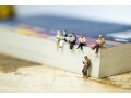 学会発表・学術雑誌掲載でも"真実"とは限らない理由